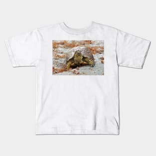 Eastern Box Turtle Kids T-Shirt